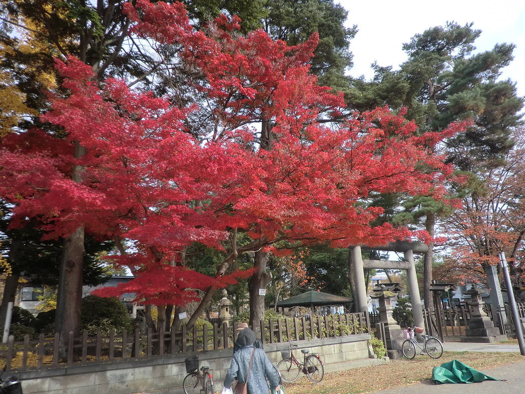 松が岬公園の写真 ©senngokujidai4434(CC BY 2.0)