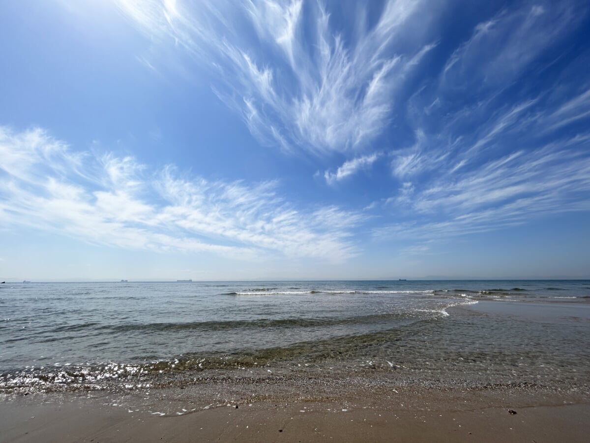 山海海水浴場の写真 