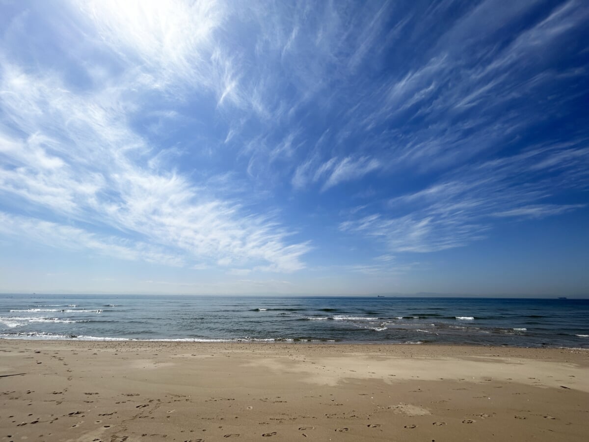 山海海水浴場の写真 