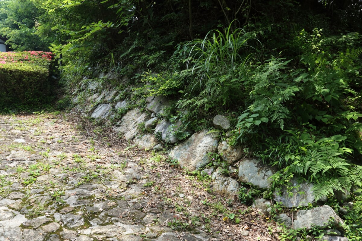 鳥羽山公園の写真 