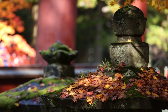 北口本宮冨士浅間神社の写真 