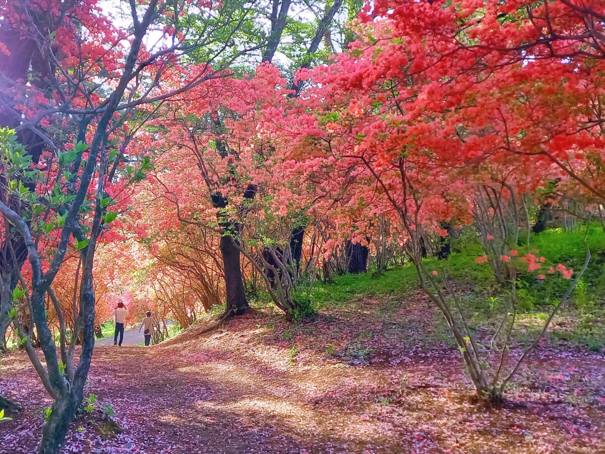 烏ヶ森公園の写真 