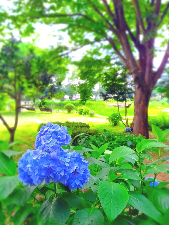 烏ヶ森公園の写真 