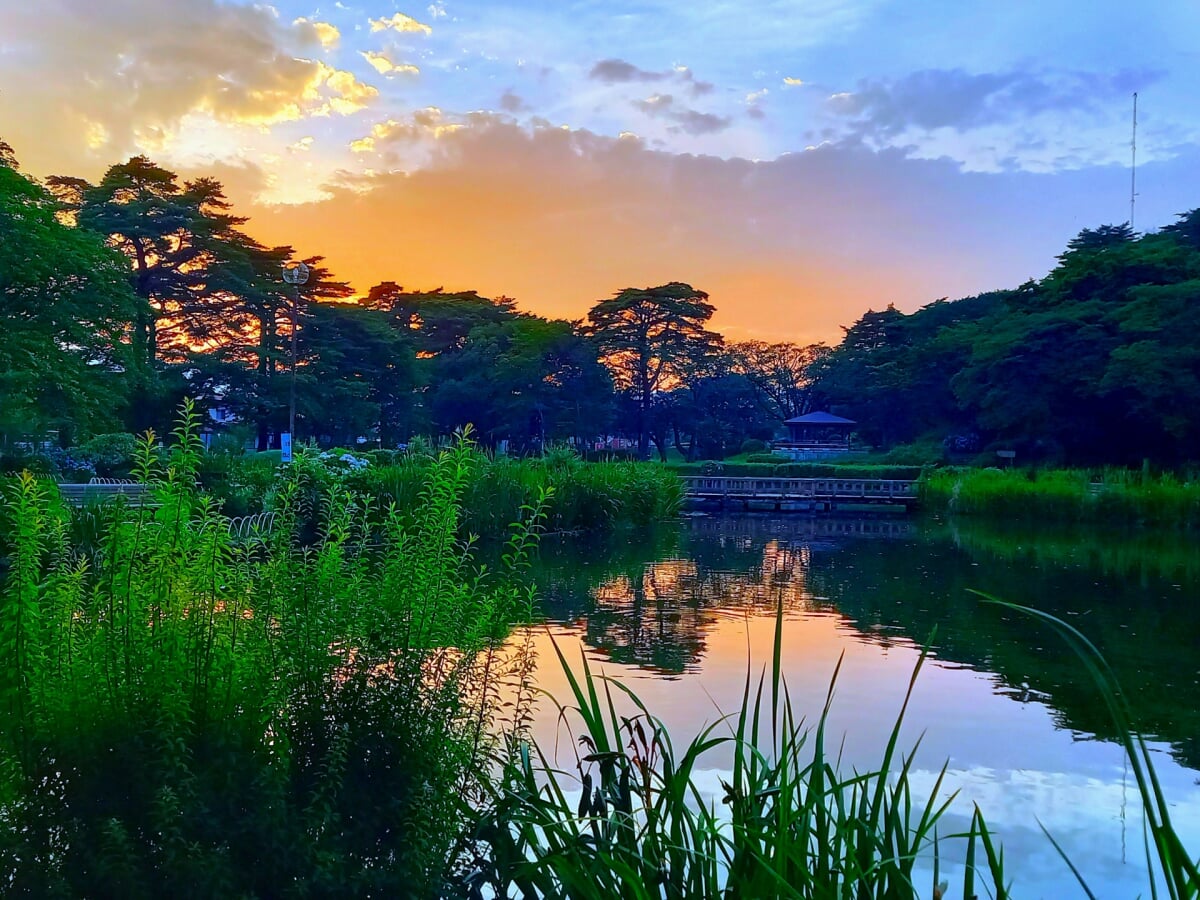 烏ヶ森公園の写真 