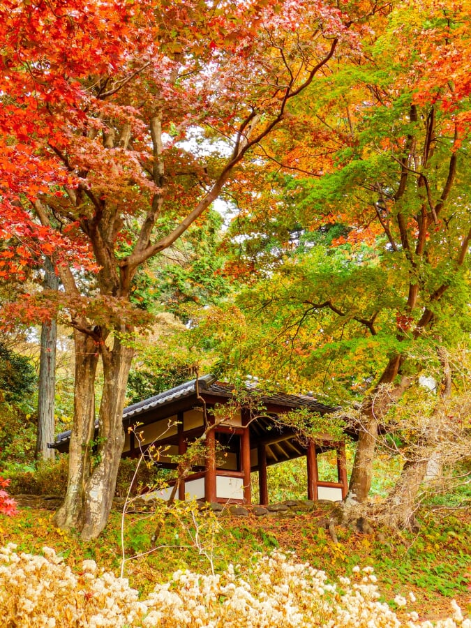 烏ヶ森公園の写真 