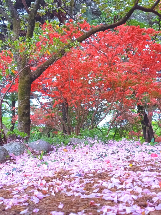 烏ヶ森公園の写真 