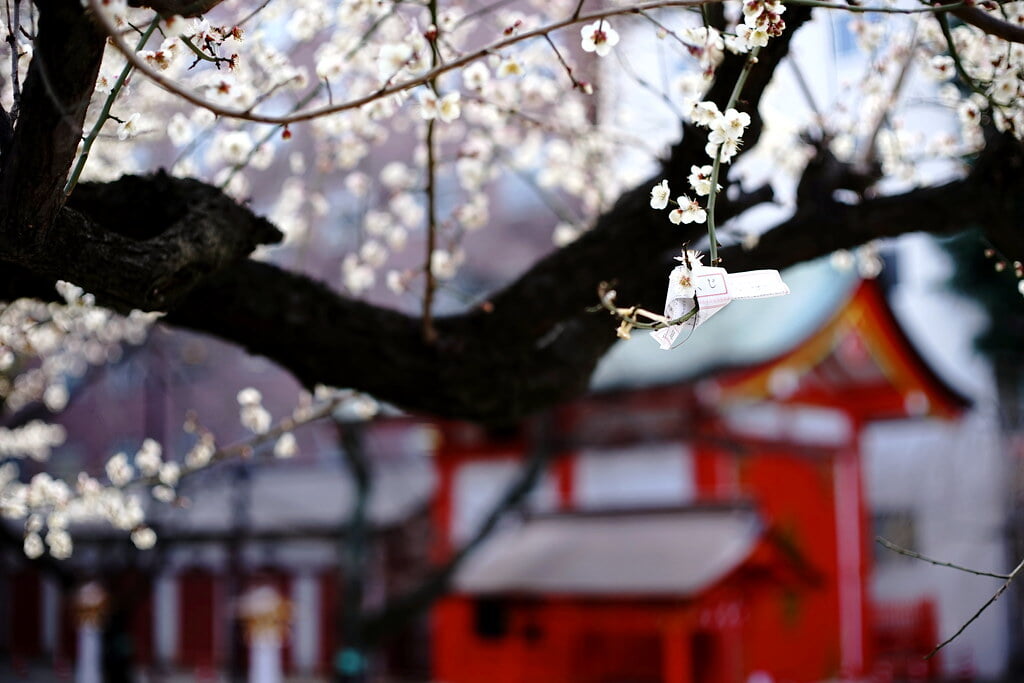 花園神社の写真 ©ai3310X(CC BY 2.0)