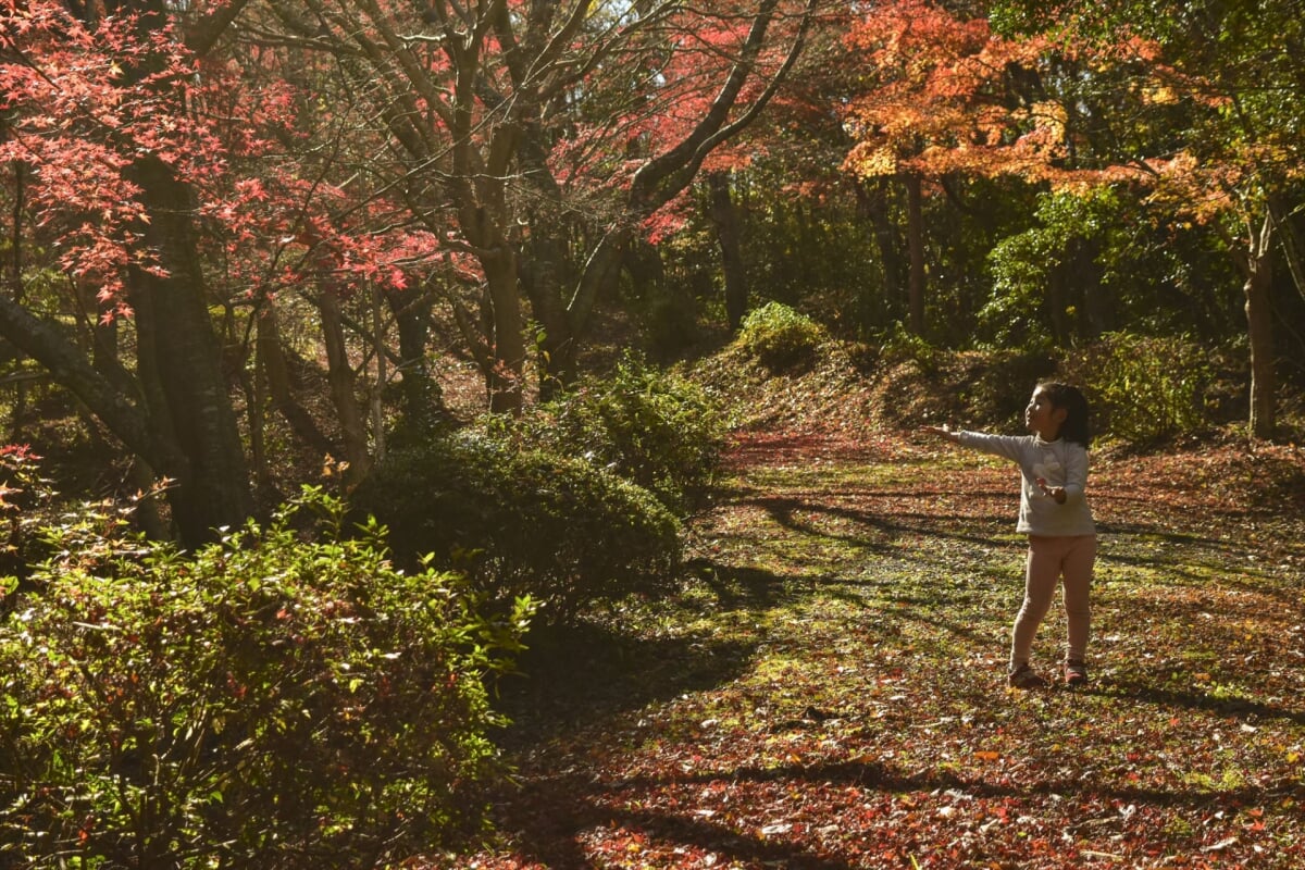 岩倉峡公園の写真 