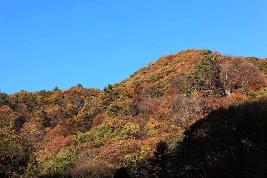 吾妻渓谷の写真 ©TANAKA Juuyoh (田中十洋)(CC BY 2.0)