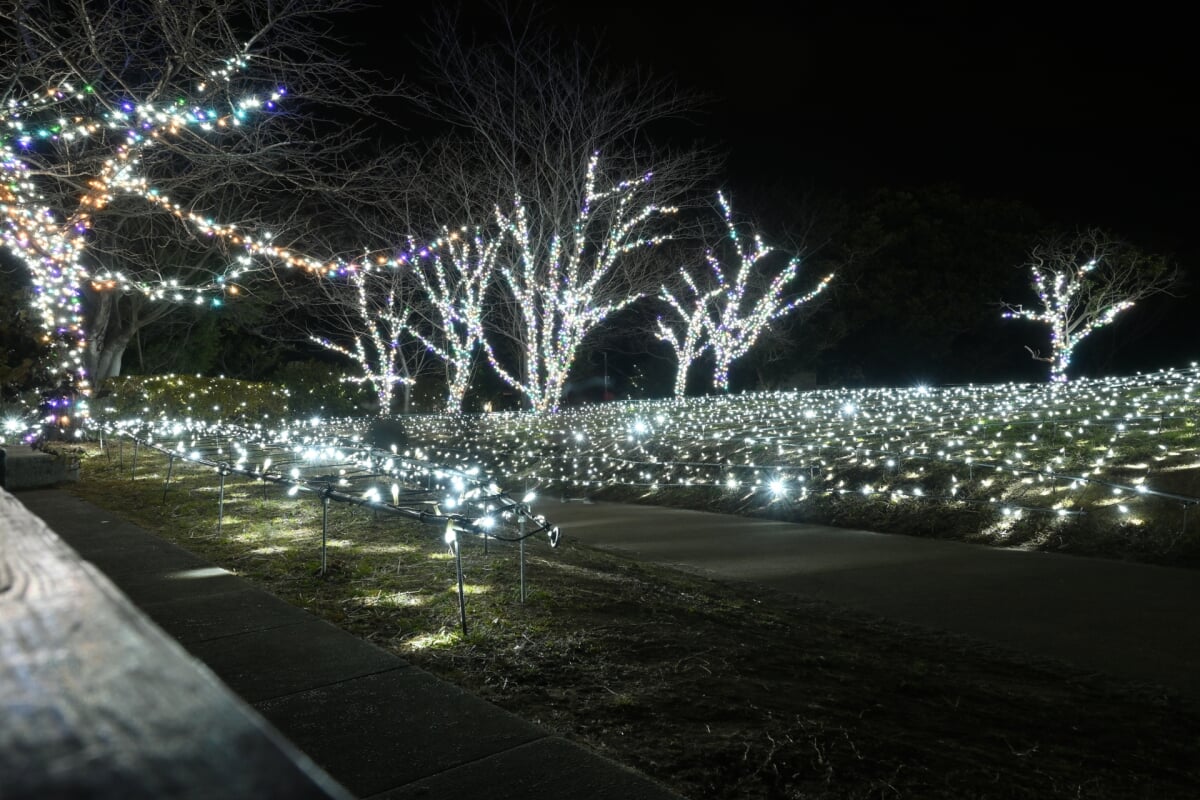 亀ヶ岡広場の写真 