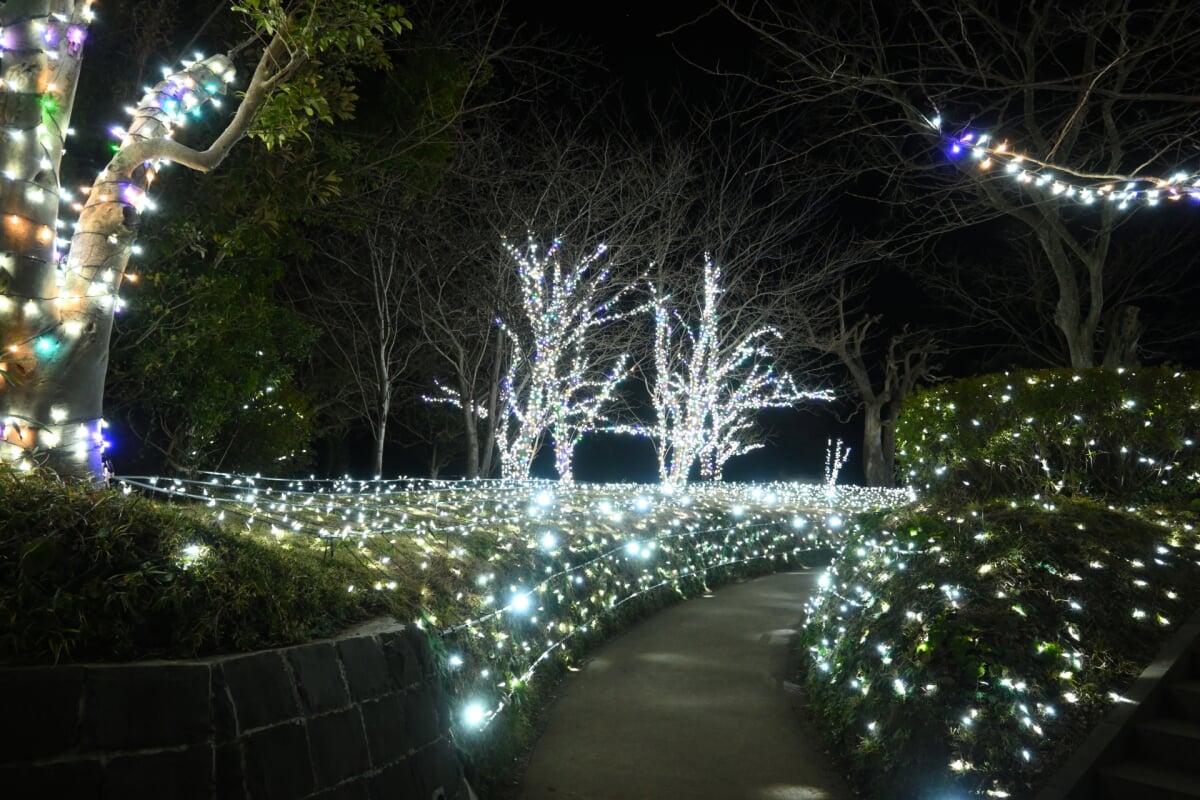 亀ヶ岡広場の写真 