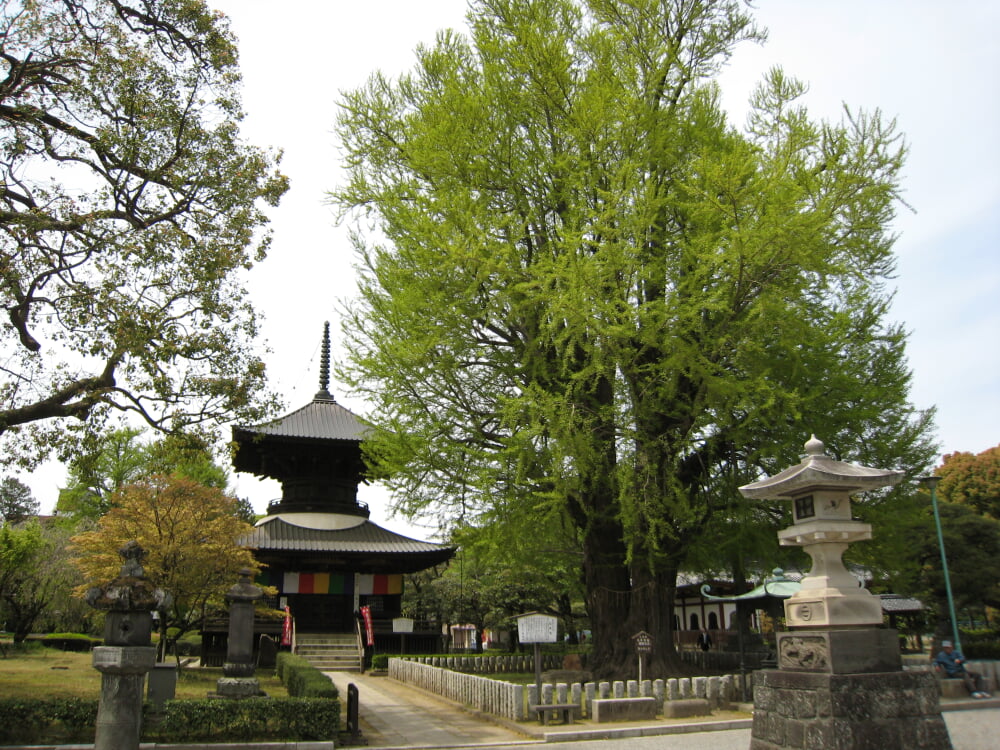 鑁阿寺の写真 ©taketarou(CC-BY-SA-3.0)