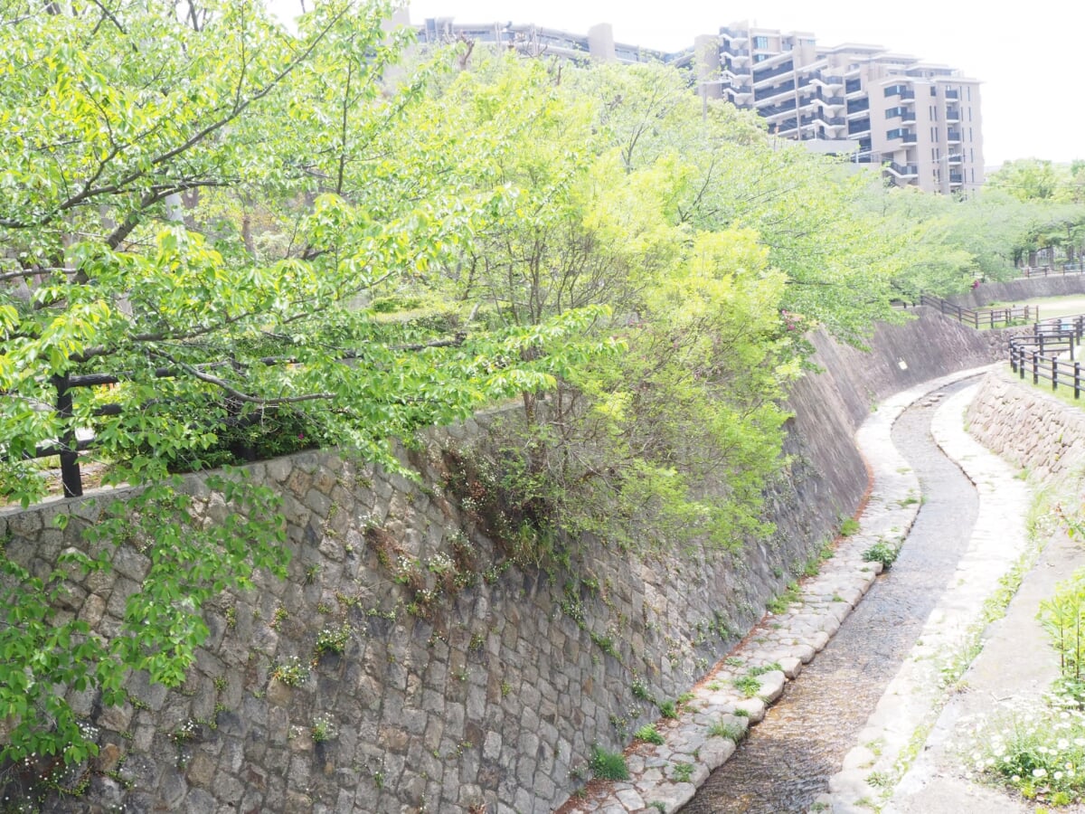 神戸市 大倉山公園の写真 