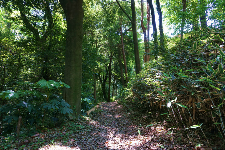 かしの木山自然公園の写真 ©machiro(CC BY-SA 3.0)