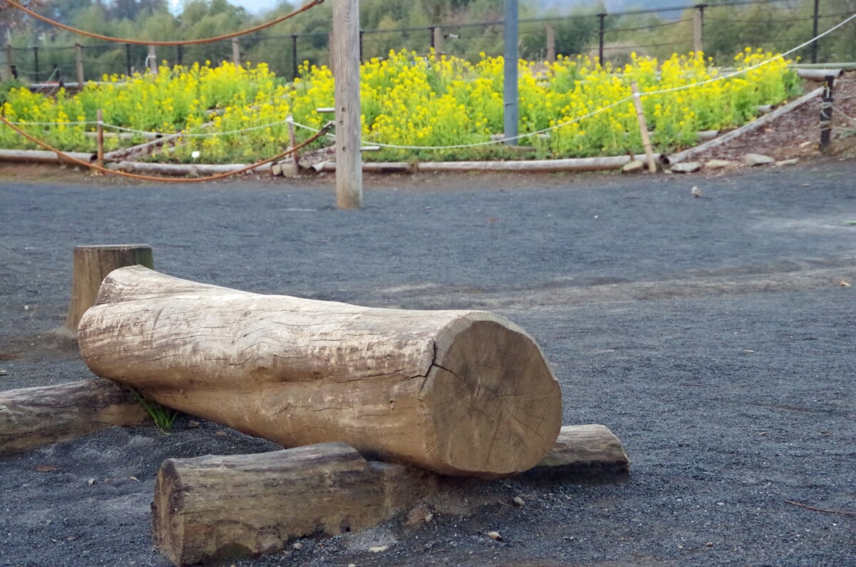 小田野中央公園の写真 