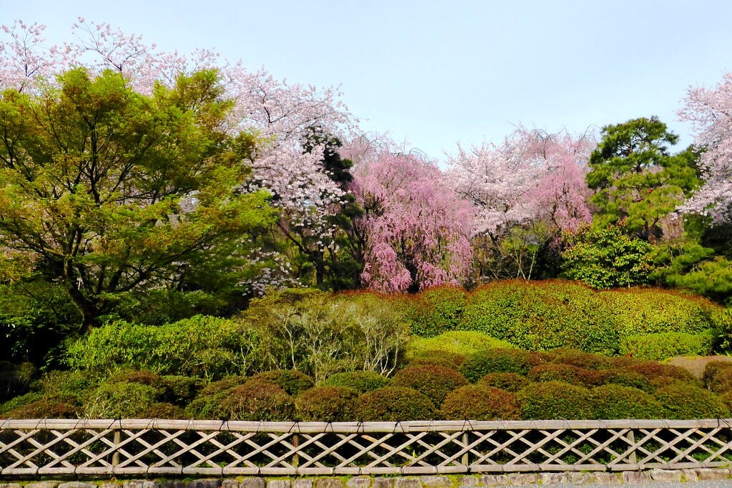 龍安寺の写真 ©Tetsuhiro Terada(CC BY 2.0)