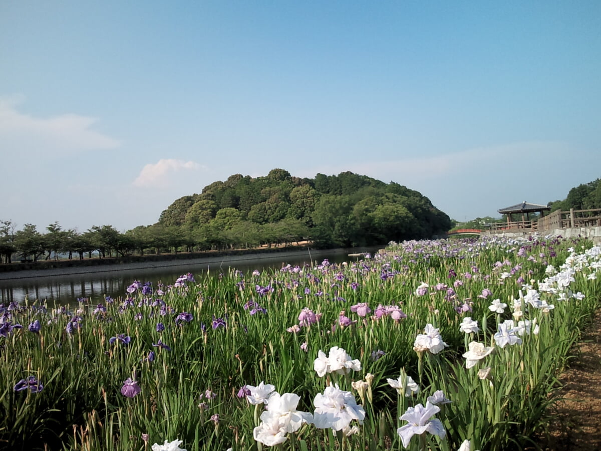 香川県立亀鶴公園の写真 ©御門桜(CC BY 3.0)