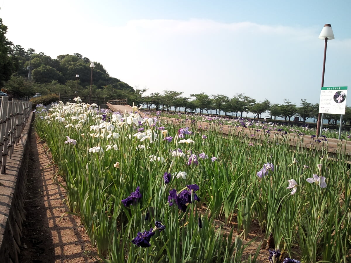 香川県立亀鶴公園の写真 ©御門桜(CC BY-SA 3.0)