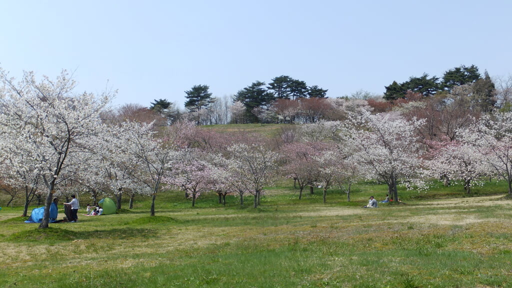 日本国花苑の写真 ©掬茶(CC BY-SA 4.0)