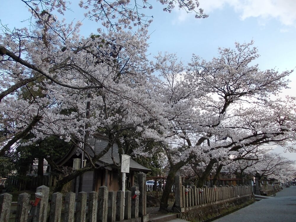 阿蘇神社の写真 ©STA3816(CC BY-SA 3.0)