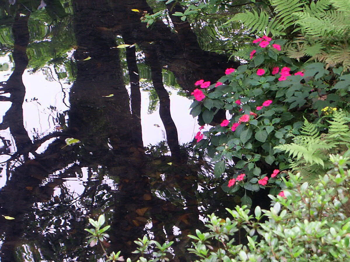 前山公園の写真 ©lienyuan lee(CC BY 3.0)