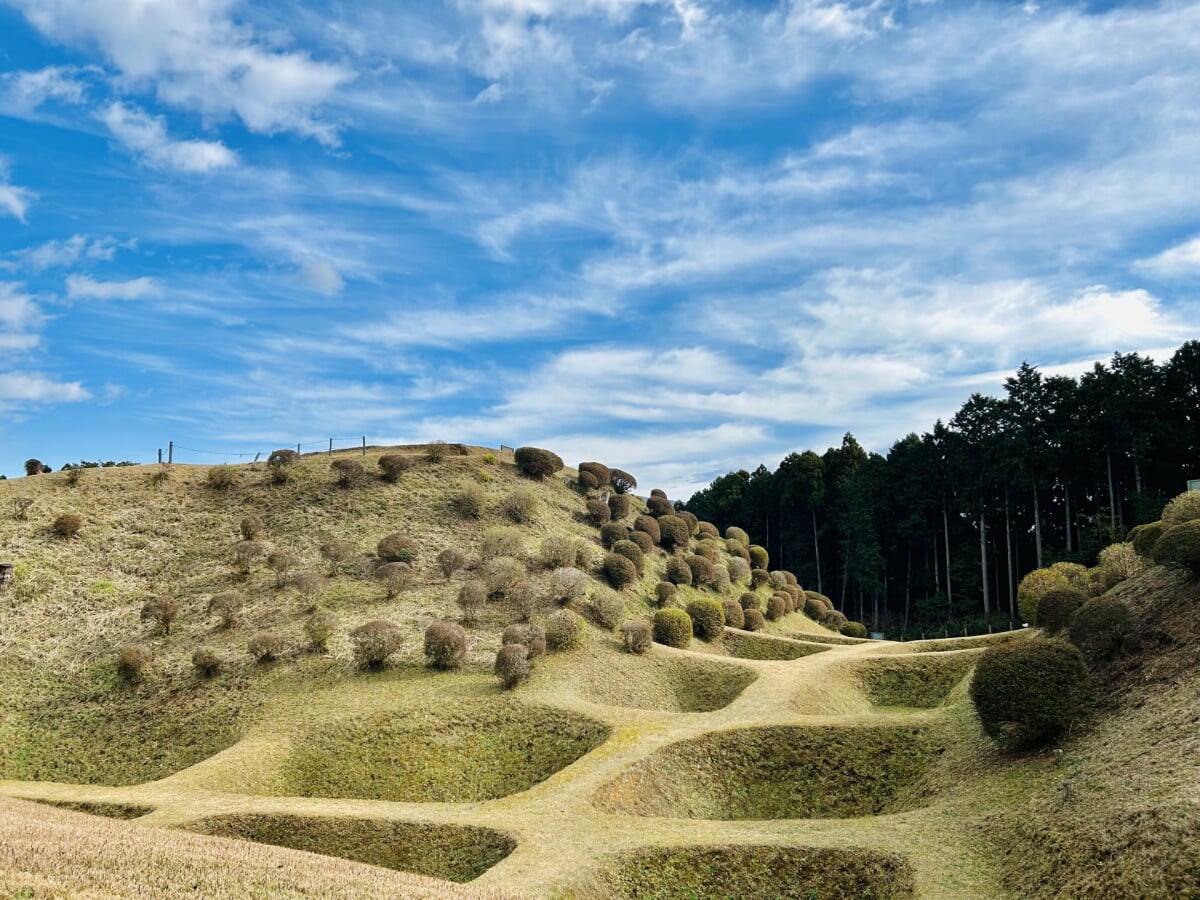 山中城跡公園の写真 