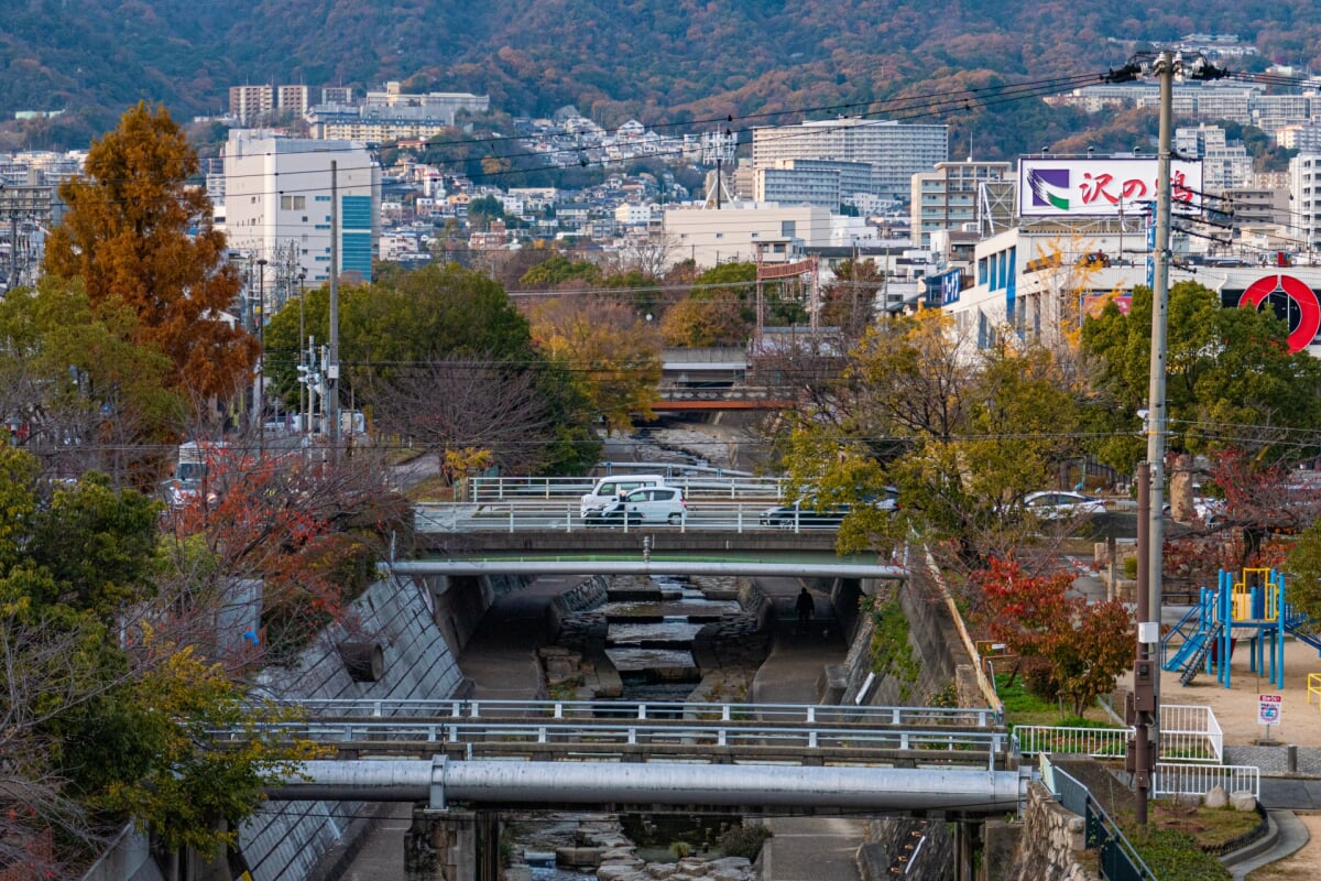 都賀川公園の写真 