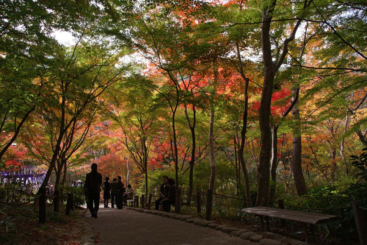 瑞宝寺公園の写真 ©663highland(CC BY-SA 3.0)