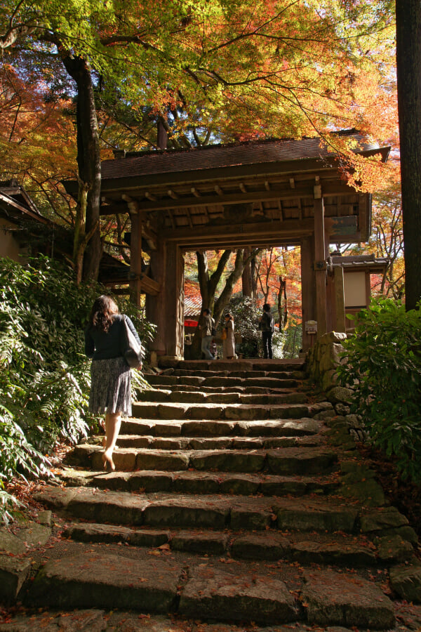 瑞宝寺公園の写真 ©663highland(CC BY-SA 3.0)