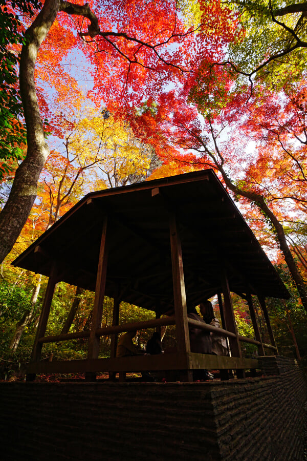 瑞宝寺公園の写真 ©663highland(CC BY-SA 3.0)