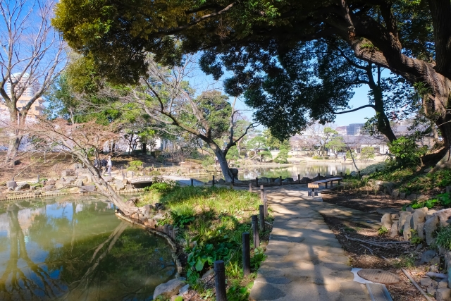 肥後細川庭園の写真 