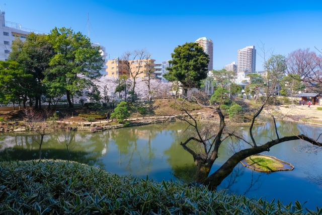 肥後細川庭園の写真 