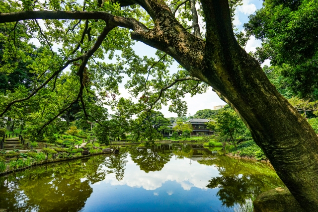 肥後細川庭園の写真 