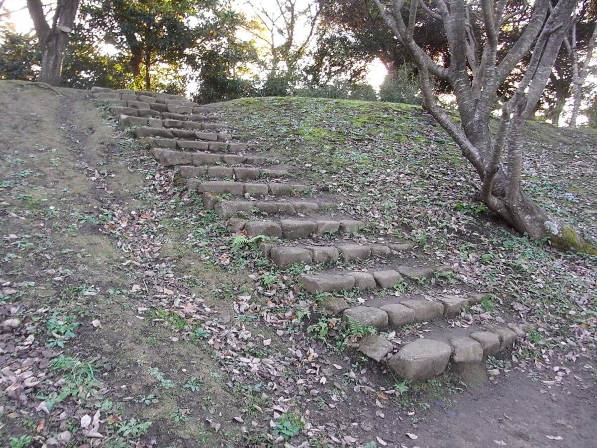 佐倉城址公園の写真 