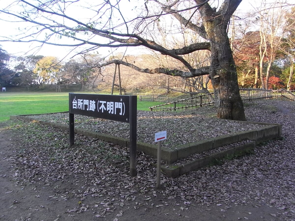 佐倉城址公園の写真 