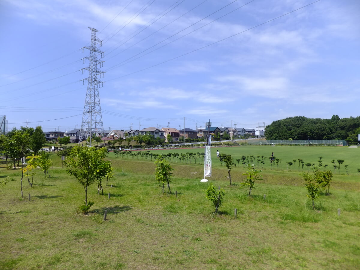 御所野総合公園の写真 ©掬茶(CC BY-SA 4.0)