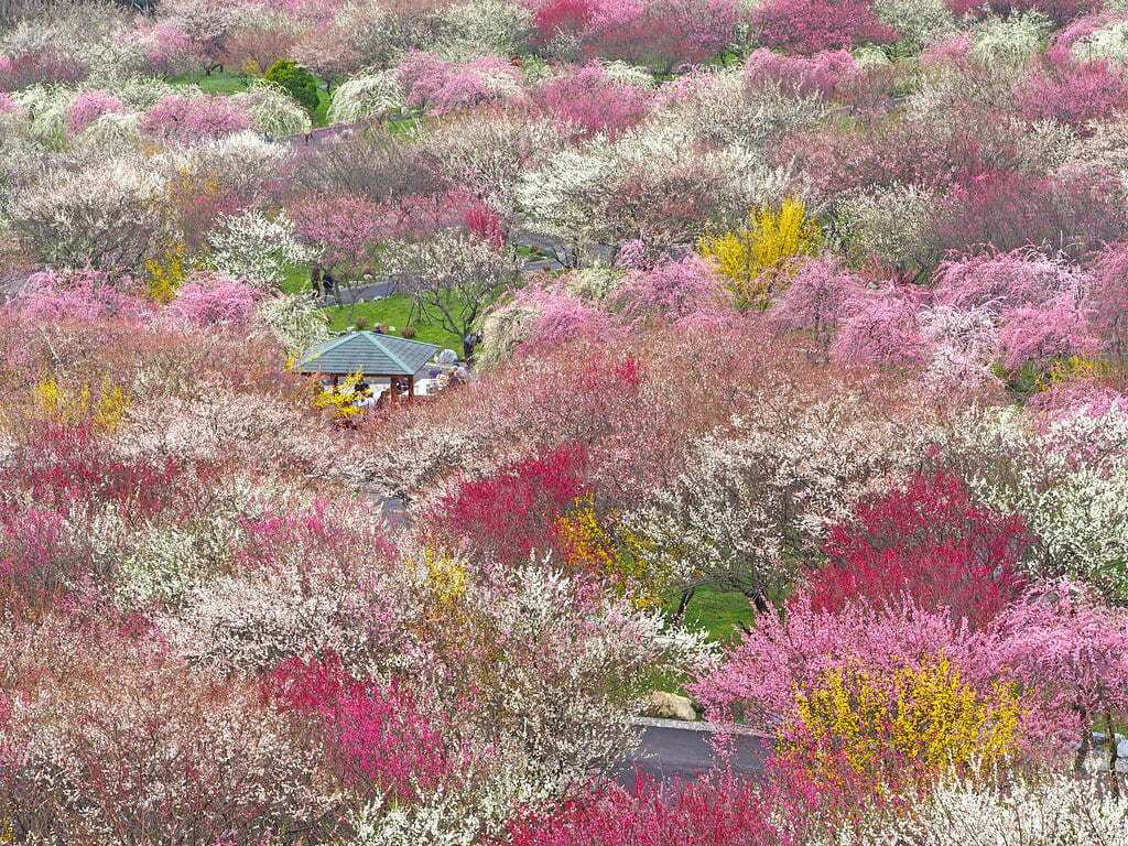 いなべ市農業公園の写真 ©T.Kiya(CC BY-SA 2.0)