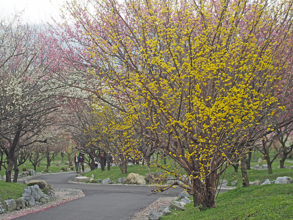 いなべ市農業公園の写真 ©T.Kiya(CC BY-SA 2.0)