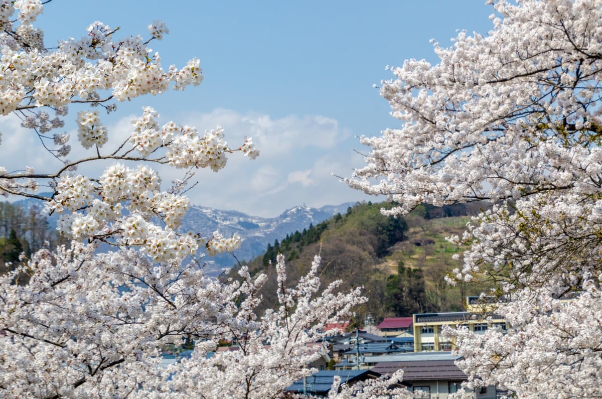 飯山城址の写真 