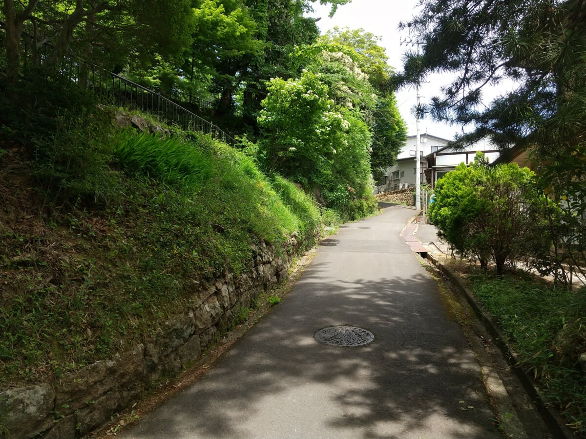 信夫山公園の写真 