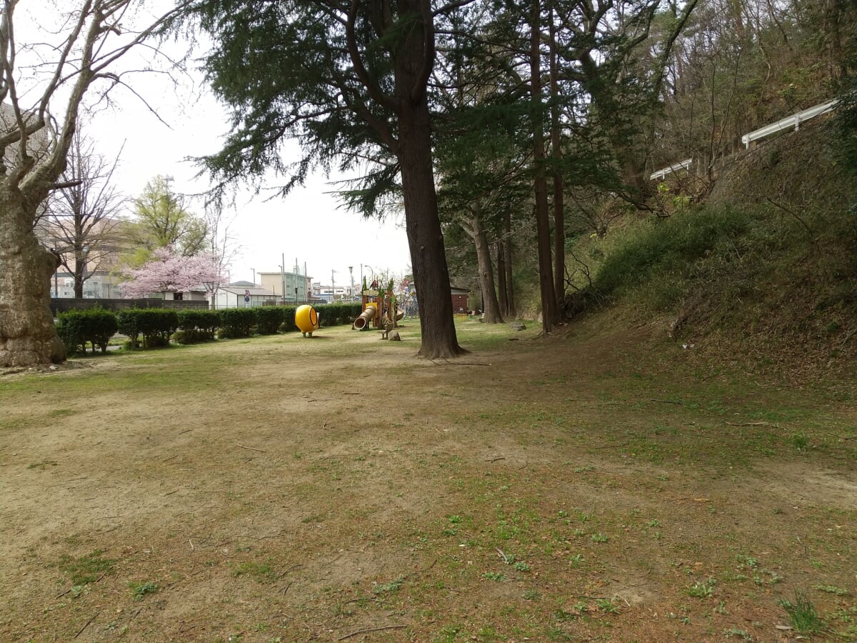 信夫山公園の写真 