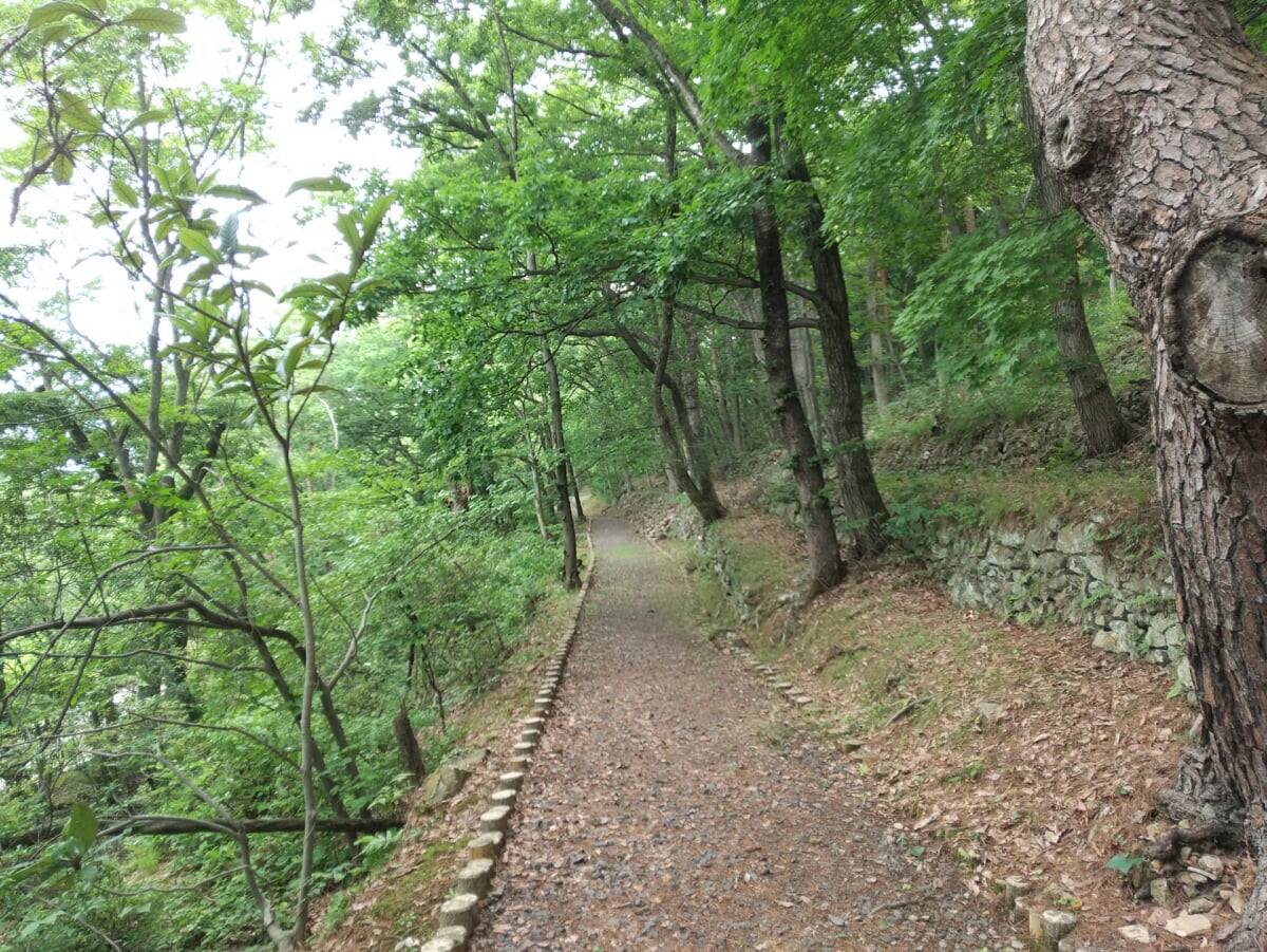 信夫山公園の写真 