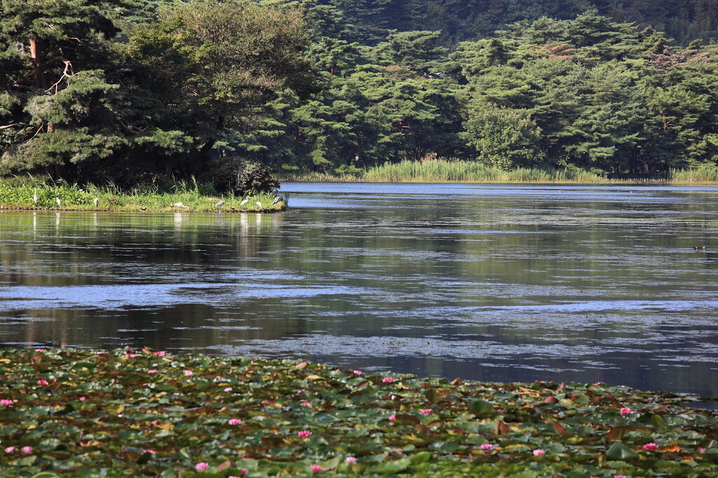 南湖公園の写真 ©TANAKA Juuyoh (田中十洋)(CC BY 2.0)