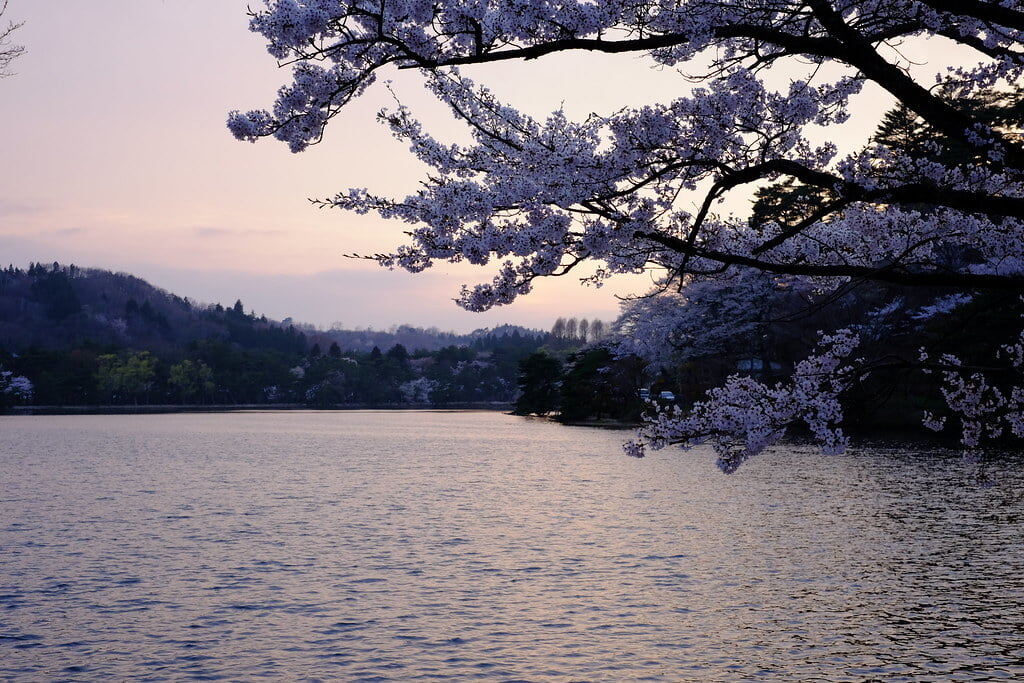 南湖公園の写真 ©M.Murakami(CC BY-SA 2.0)