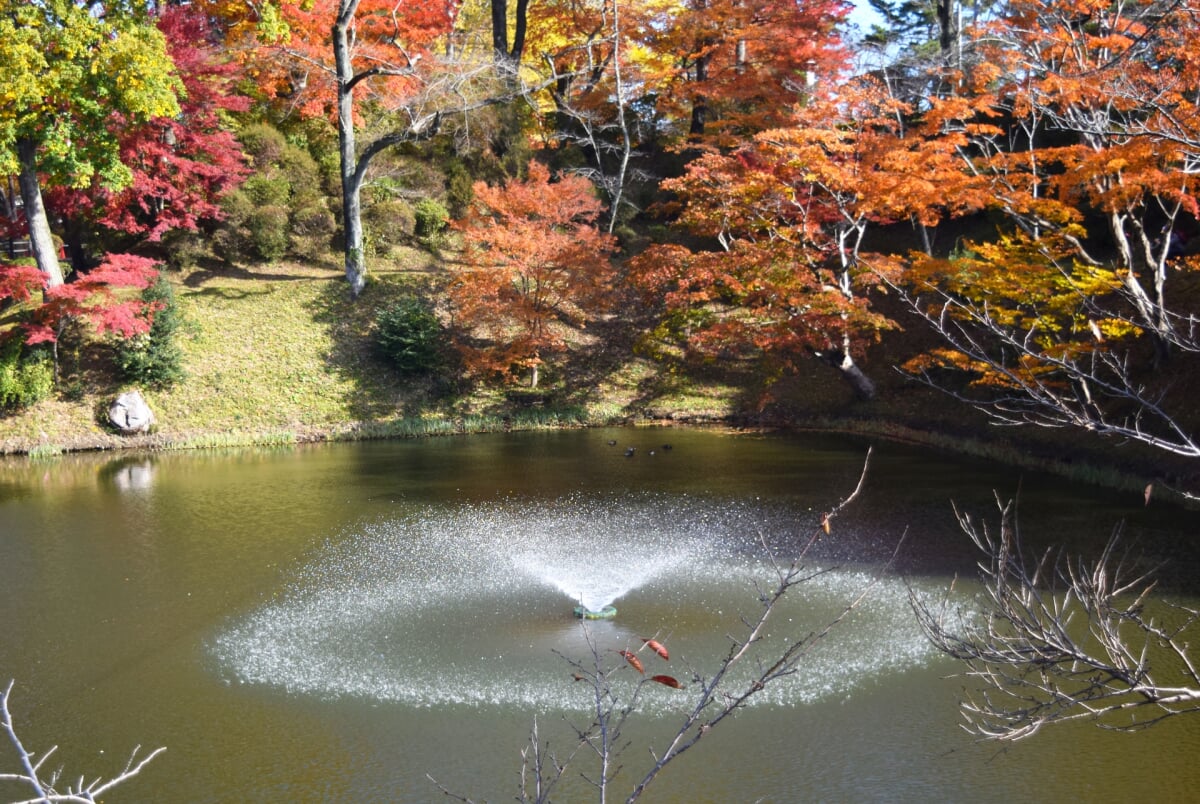 棚倉城跡(亀ヶ城公園)の写真 