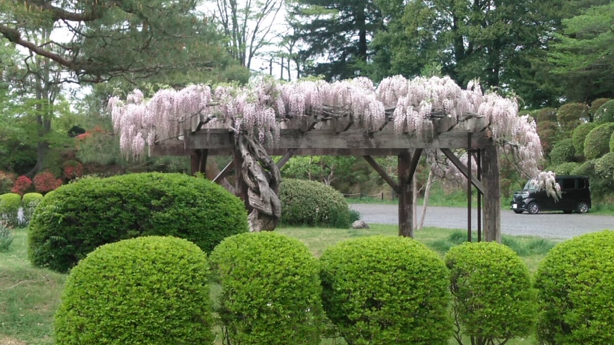 棚倉城跡(亀ヶ城公園)の写真 