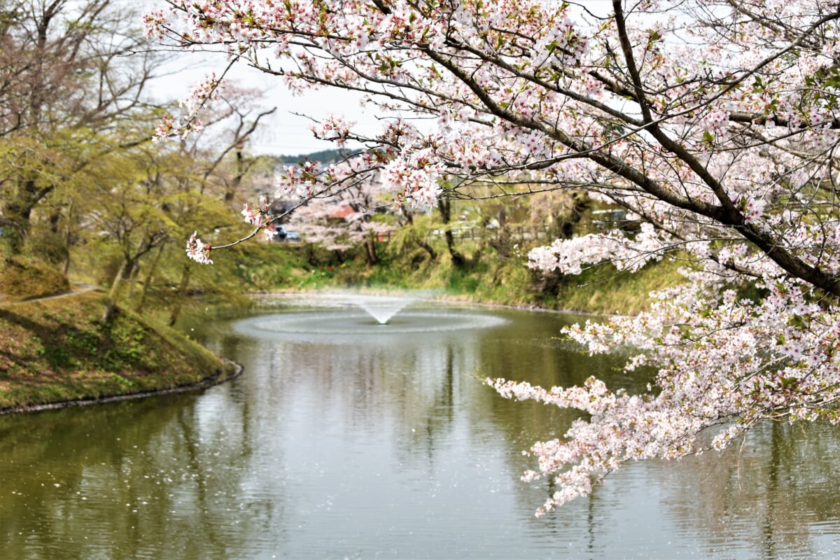 棚倉城跡(亀ヶ城公園)の写真 