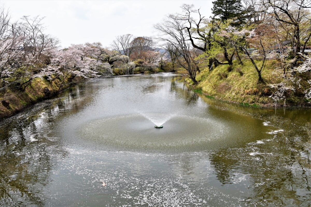 棚倉城跡(亀ヶ城公園)の写真 