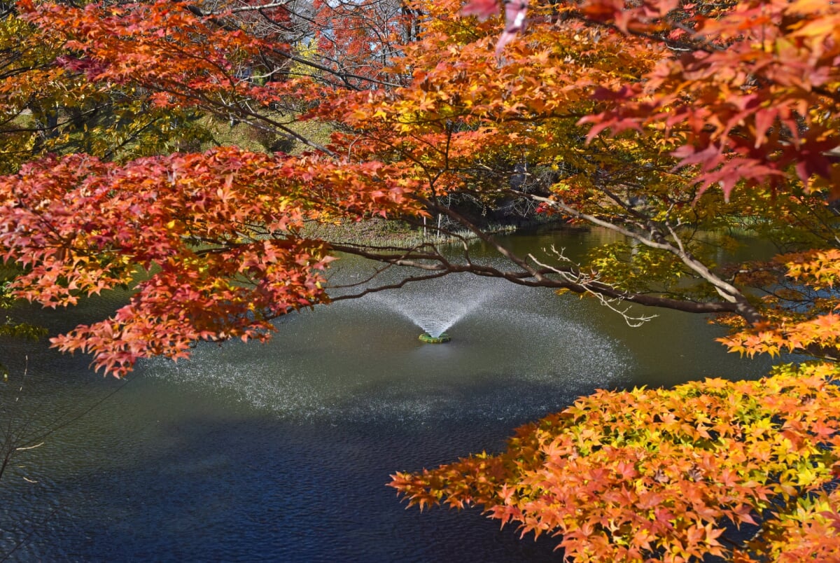 棚倉城跡(亀ヶ城公園)の写真 