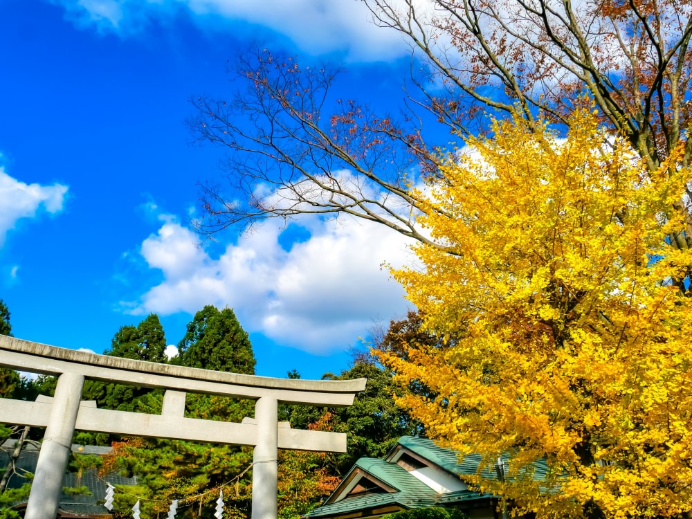 千秋公園の写真 ©Jranar(CC BY-SA 4.0)